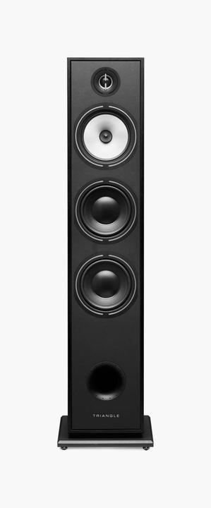 Actual product image Triangle BOREA BR08 Black Ash (1 pair, 150 W)