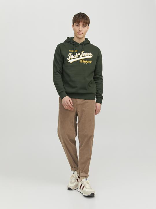 Image du produit Jack & Jones Logo Hoodie (XL)