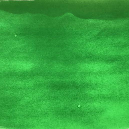 Productafbeelding Pebeo Colorex waterinkt (oosters groen, 45 ml)