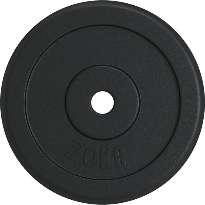 Immagine prodotto vidaXL Hantelscheibe (2 x 20 kg)