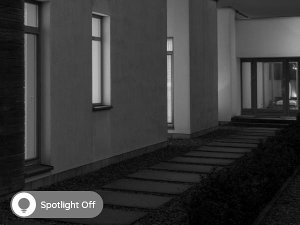 Productafbeelding Reolink P437-4K 8MP (3840 x 2160 Pixels)