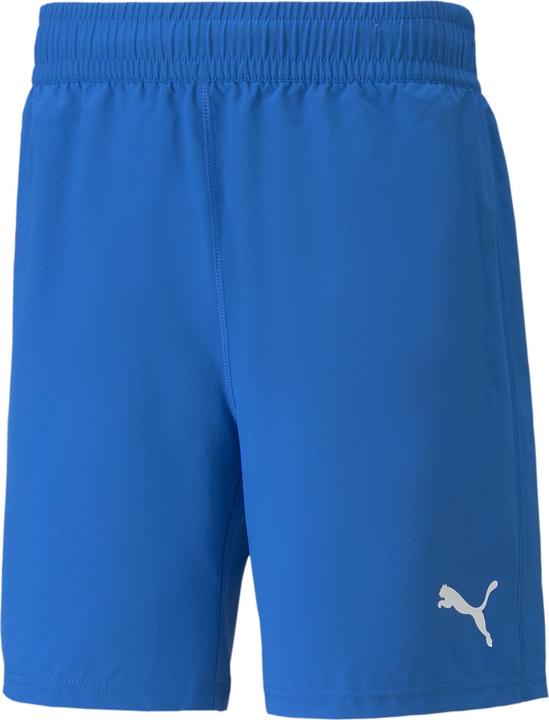 Puma teamFINAL shorts
