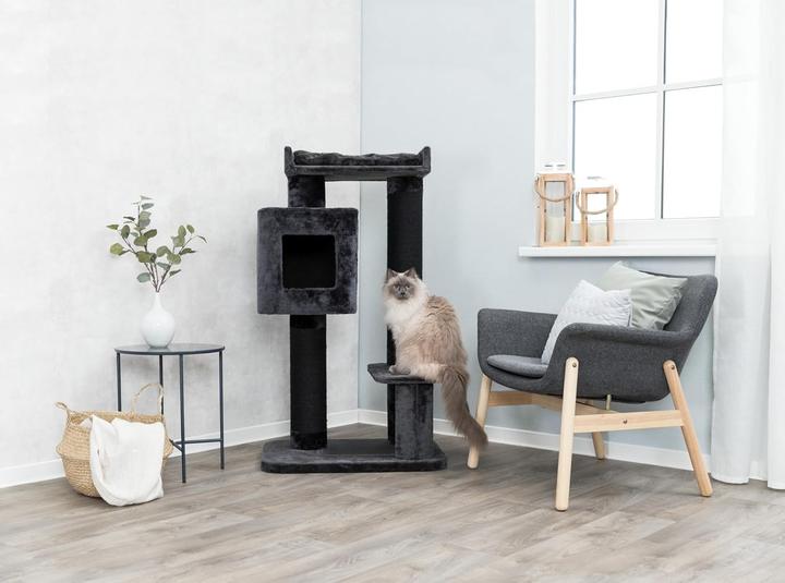 Immagine prodotto Trixie Albero del gatto XXL Izan (122 cm, Antracite)