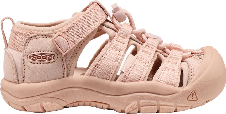 campe rose monochrome, Rosa