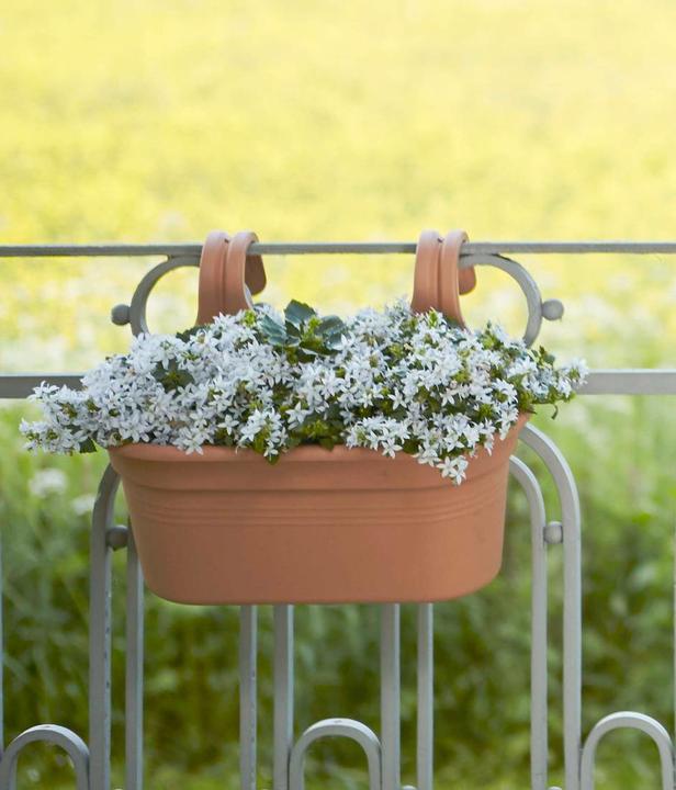 Productafbeelding Elho Easy Hanger Green Basics balkonbox, ovaal, 26x36x25,7 cm, kunststof in terracotta (26.20 cm)