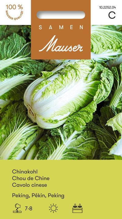 Actual product image Samen Mauser Chinese cabbage Peking (Vegetable seeds)