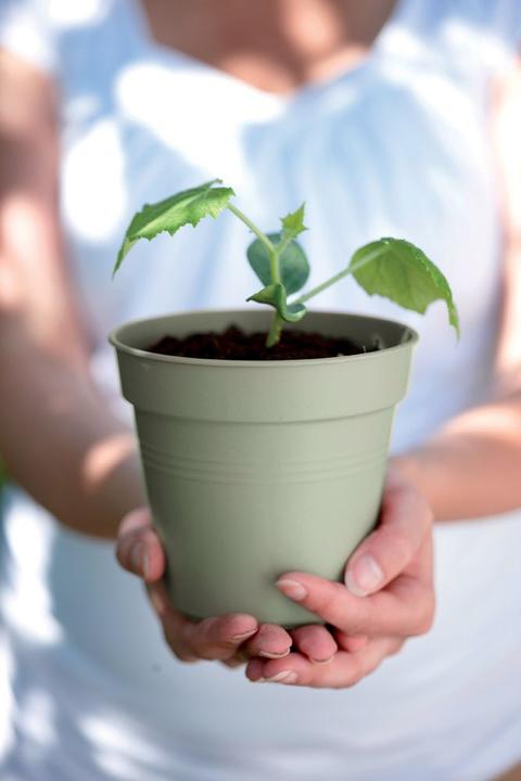 Actual product image Elho Green Basics
