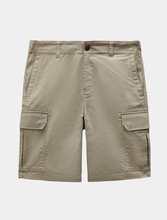 Dickies Millerville Shorts - 125375