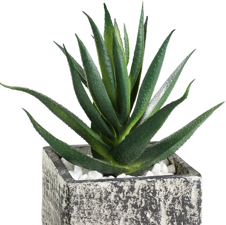 EGLO LIVING Chitose (13 cm)