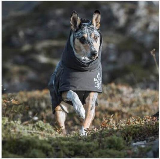 Produktbild Hurtta Wintermantel Extreme Warmer 2 (60, L, Hundemantel)