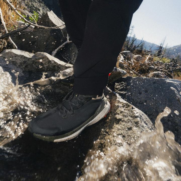 Image du produit adidas Terrex Free Hiker 2 GTX (41)