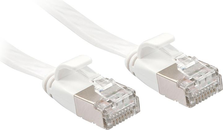 Lindy Network cable (U/FTP, CAT6a, 10 m)