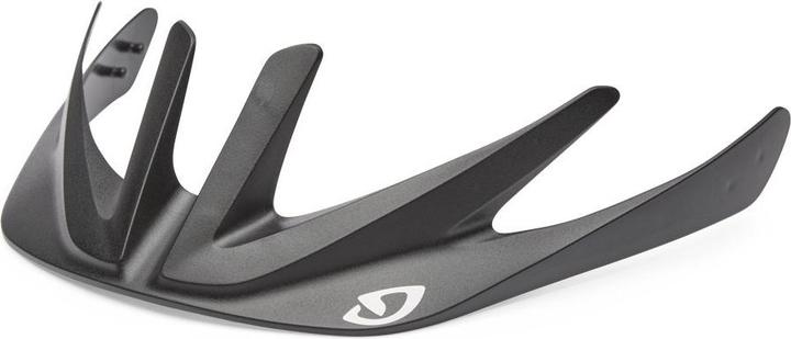 Actual product image Giro Revel/Bishop Visor