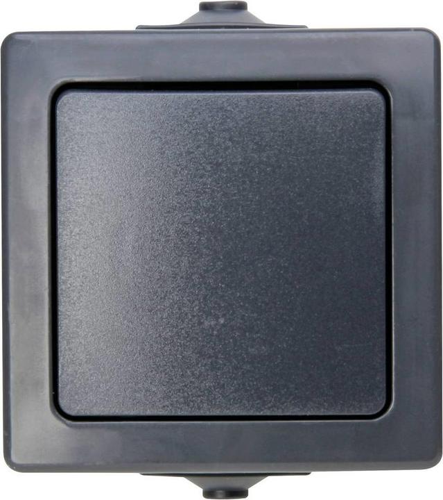 Actual product image Kopp Surface-mounted damp-proof universal switch