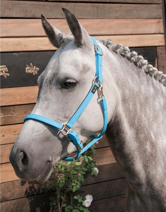 Produktbild TdeT Biotack®