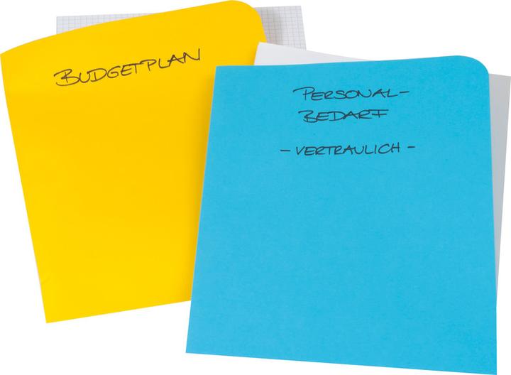 Produktbild Elco Sichthülle Ordo discreta (A4, 100x)