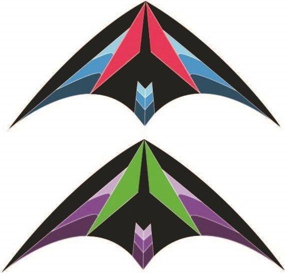 Actual product image Airow IMEX Big Kite Optimus 160