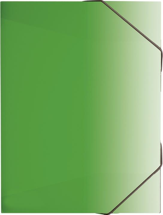 Actual product image Brunnen Folder FACT!pp DIN A4 green (A4, 1x)