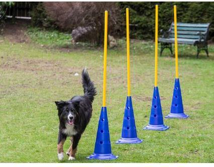 Produktbild Procyon Agility Pylon (One Size)