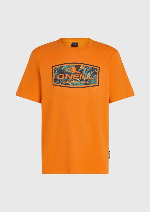 Actual product image O'Neill Graphic T-Shirt (XXL)