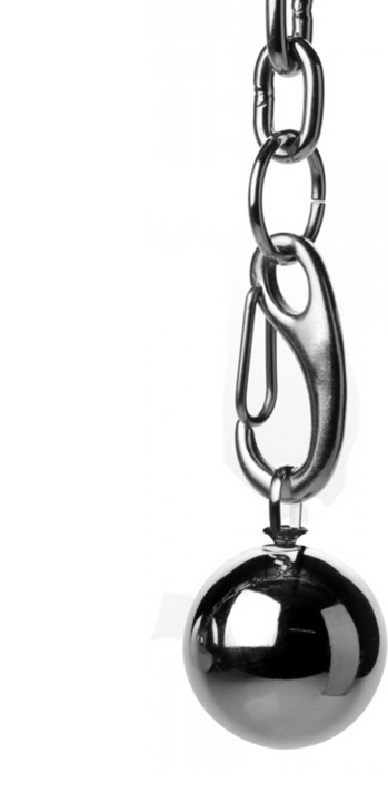 Actual product image Master Series Heavy Hitch Ball Stretcher Hook with Weights