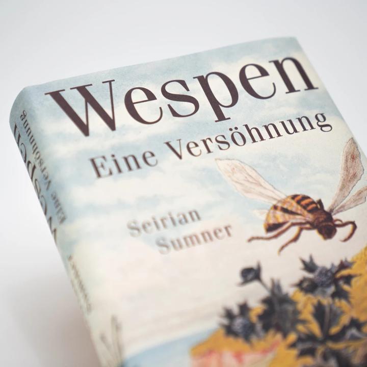 Immagine prodotto Wespen – Eine Versöhnung (Tedesco, Andrea Schmittmann, Seirian Sumner, 2023)