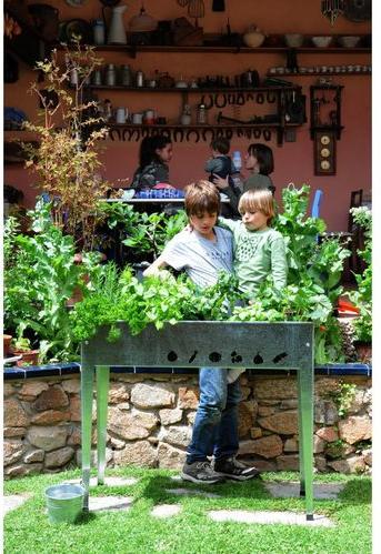 Actual product image Herstera Urban Garden