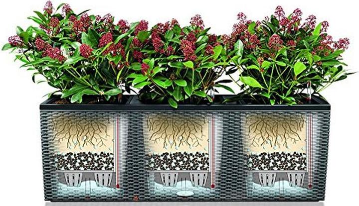 Produktbild Lechuza Trio Cottage (32 cm)