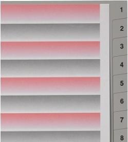 Immagine prodotto Kolma Registro A4 superstrong 1-20 20 pezzi grigio