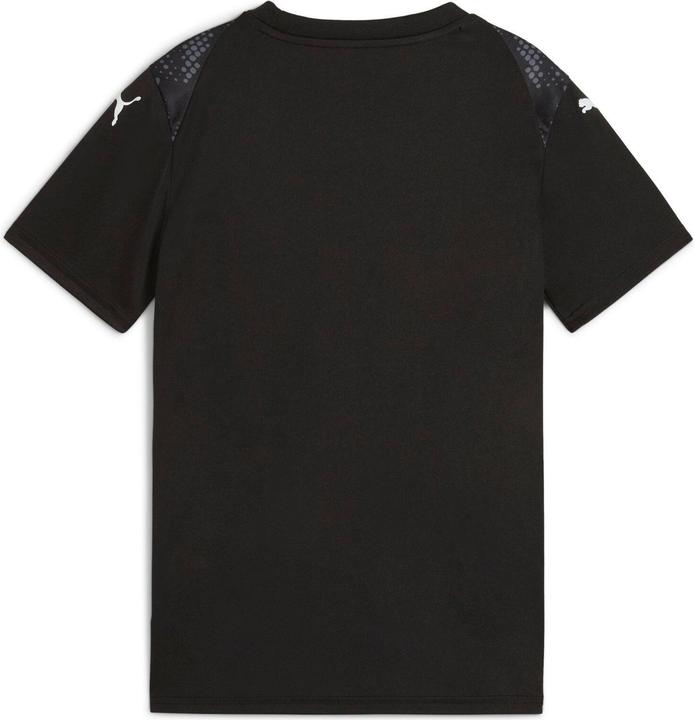 Actual product image Puma teamULTIMATE Jersey Jr (164)