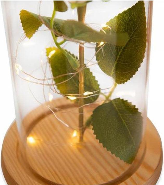 Image du produit TOP Rose éternelle (Fleurs à l'infini)