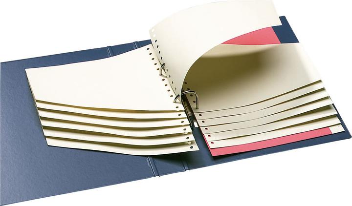 Produktbild Schäfer Shop Staffeltrennblatt A4 100ST chamois