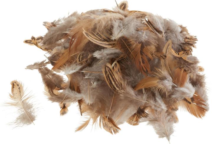 Actual product image Othmar Chicken feathers, brown, 3 g