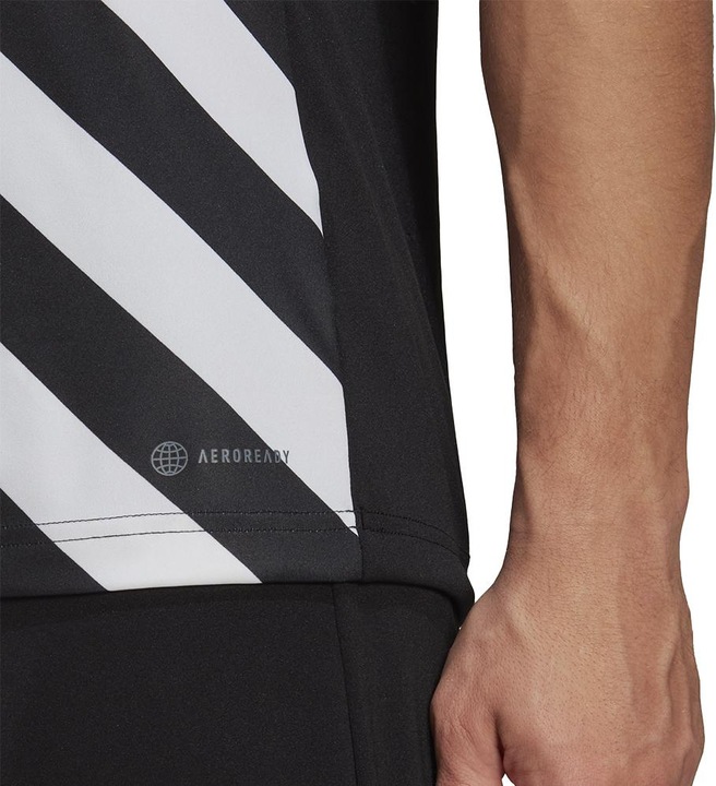 Actual product image adidas Entrada 22 Graphic Football Shirt Men (M)