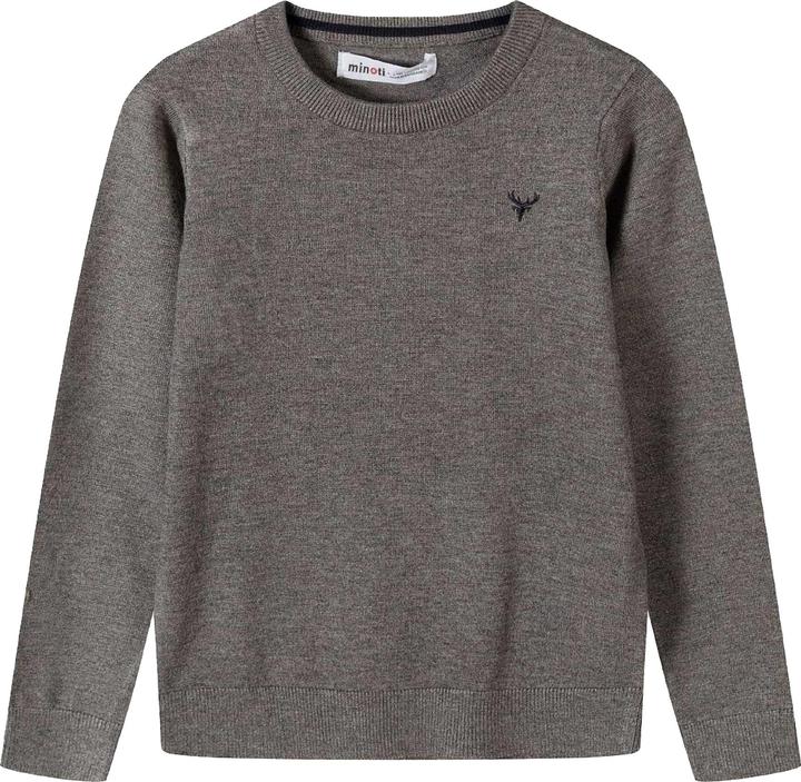 Image du produit Minoti - Pull motif/style brodé - Garçon (116)