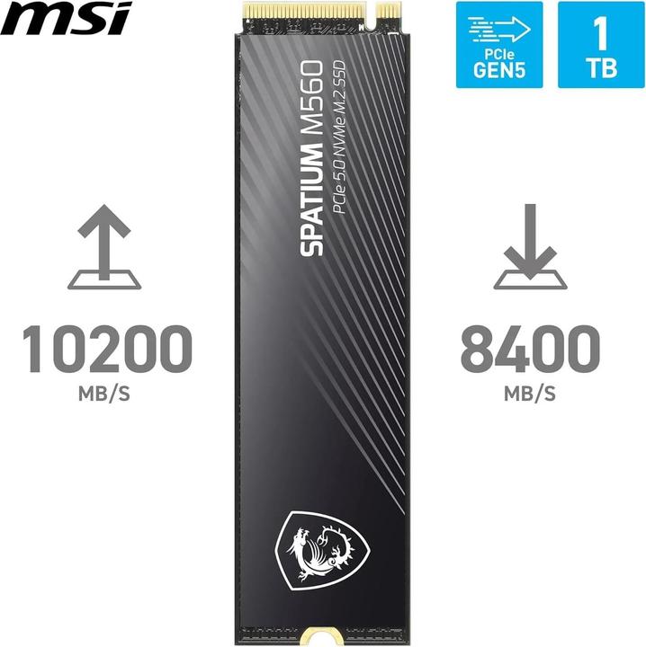 Actual product image MSI Spatium M560 (1000 GB, M.2, M.2 2280)