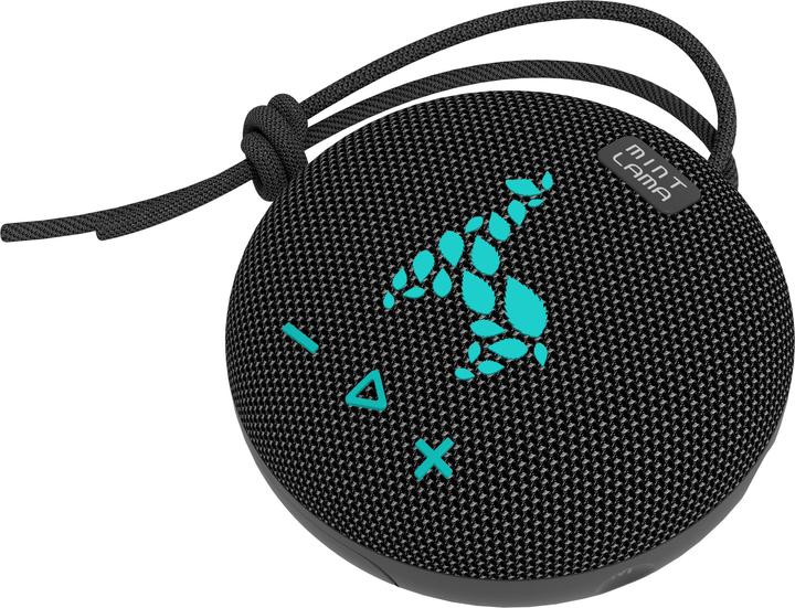 Actual product image Mint Lama Lamabeat 1 (4 h)