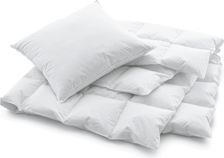 Actual product image Swiss Dream by billerbeck Soft Pillow Basic 90 (65 x 65 cm)