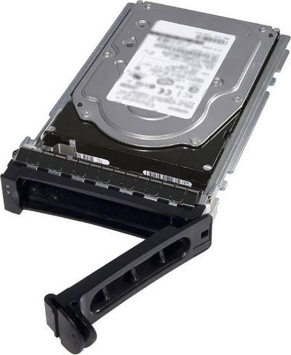 Actual product image Dell 400-AUVR (2.40 TB, 3.5")