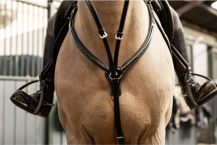 Image du produit HFI Master Pro Line Arezzo