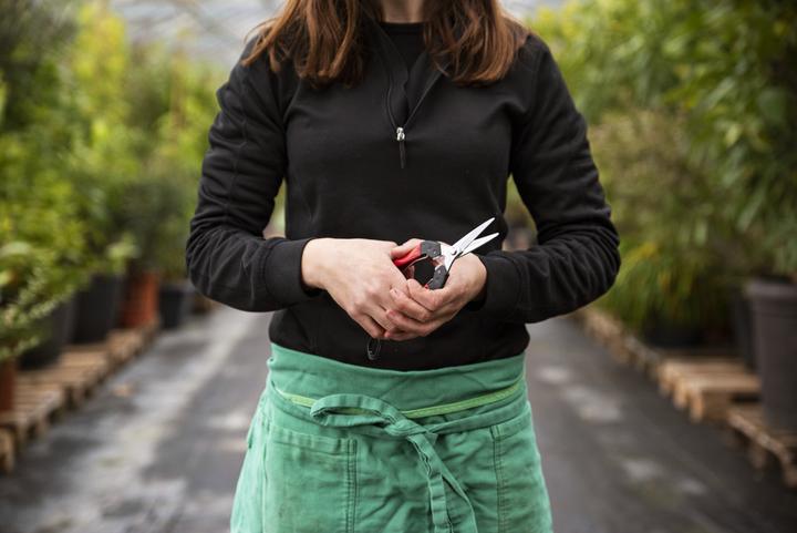 Actual product image Felco Flower shears