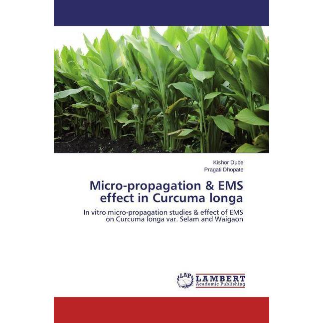 Micro-propagation & EMS effect in Curcuma longa, Fachbücher von Kishor Dube, Pragati Dhopate