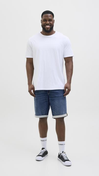Actual product image Jack & Jones JJIRICK JJICON I.K. SHORTS GE 132 SN PLS (46)