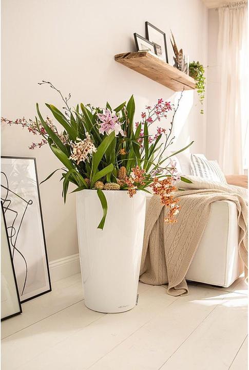 Immagine prodotto Lechuza Rondo (32.50 x 56.50 cm)