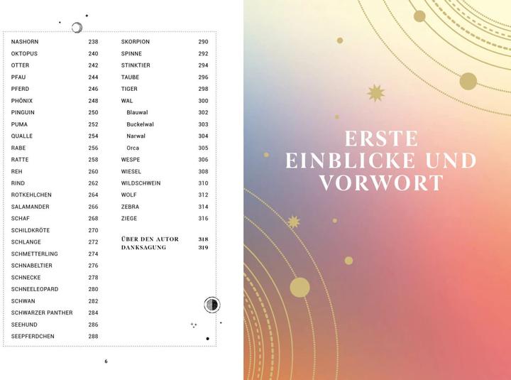 Produktbild Praxisbuch Schamanische Krafttiere – Entdecke deine Seelenbegleiter (Deutsch, Benjamin Maier, 2022)