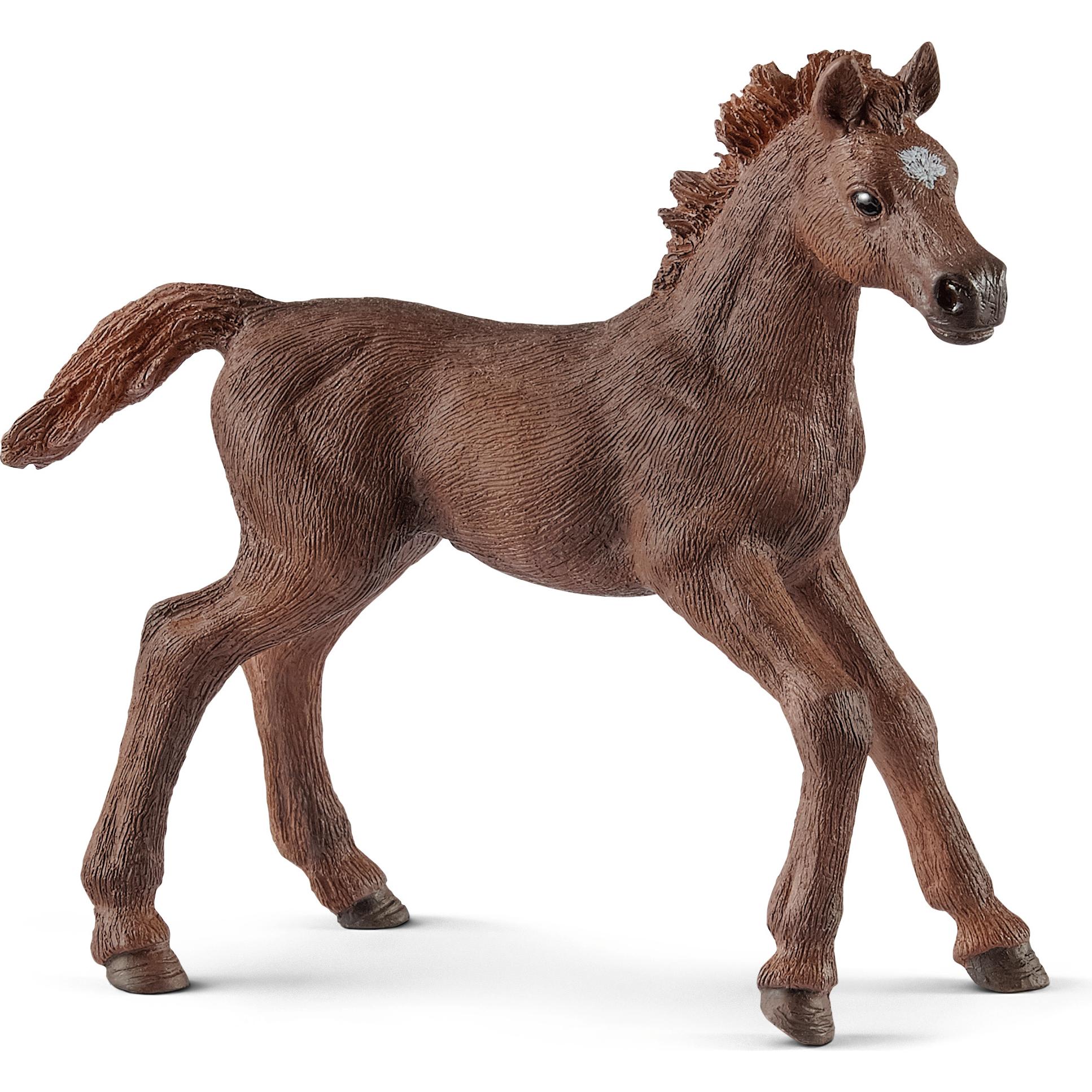 Schleich Englisches Vollblut Fohlen