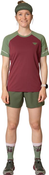 Produktbild Dynafit Alpine Pro SS Tee Women (42)