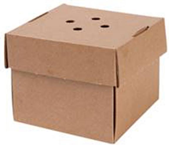 Produktbild Premium Delivery Burger Box