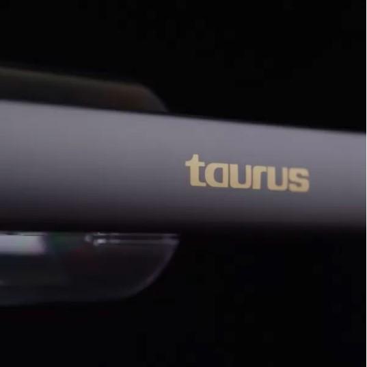 Image du produit Taurus Homeland Endless