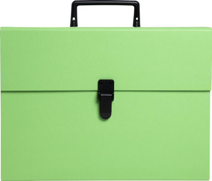 Produktbild Exacompta Fächermappen (A4, 32x)